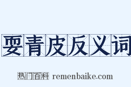 耍青皮反义词是什么意思的图片